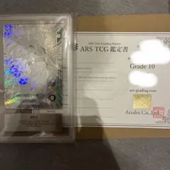 ARS10+鑑定書付き】9ポケットバインダーセット 40th 孫悟空 少年期