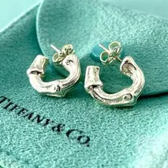 2026年最新】ティファニー バンブー ピアスの人気アイテム - メルカリ