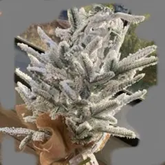 ホワイトクリスマスツリー クリスマス クリスマスツリー 電池式 ツリー