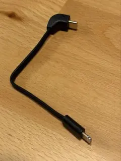 CIO SMARTCOBY Pro CABLE専用 C to L 着脱ケーブル