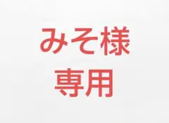 みそ様専用 ファミリアセット