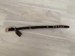 LOUIS VUITTON ルイヴィトン　犬　首輪のサムネイル
