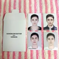 成分エディター 特典 バーノン 証明写真4枚セット