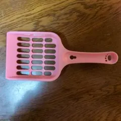 Item thumbnail for item 1a192b88-a36f-4f88-8aa2-819a0bc68cdd