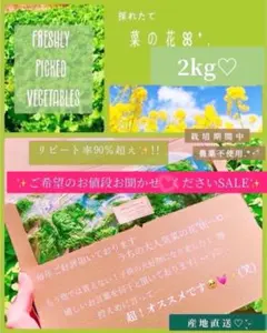 ❤️破格SALE終了間近2kg 1999円!!✨