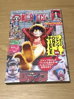 ワンピースマガジン20号 付録付き ワンピースカード 新品未開封 プロモカード付