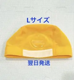 Item thumbnail for item 3d19d5b0-eea1-4598-aba8-acd349851ae0