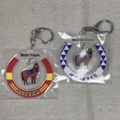 【新品】ウェルカムチャンス　E賞　アクリルキーホルダー　2個セット