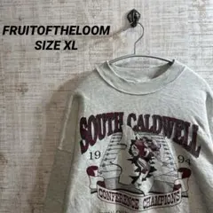 FRUITOFTHELOOM スウェットグレー