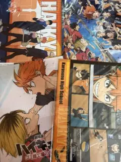 ハイキューゴミ捨て場の決戦クリアファイル日向翔陽孤爪研磨影山飛雄黒尾鉄朗月島蛍