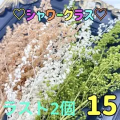 ドライフラワー♡シャワーグラス♡15ピンクベージュ、グリーン、ホワイト♡