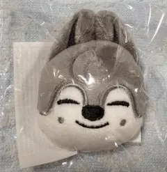 Stray Kids スキズ　ウルフチャン　バンチャン　マグネット