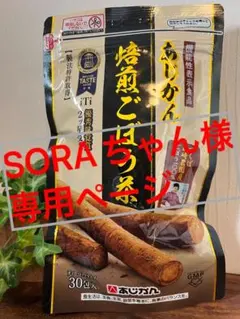 SORAちゃん様専用ページ