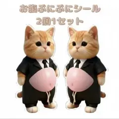 お腹ぷにぷにシール 猫 2個セット 癒やし ぷにぷに　ねこ　スーツ　シール