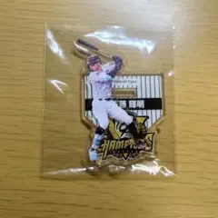 阪神タイガース優勝記念アクスタくじ　佐藤輝明選手