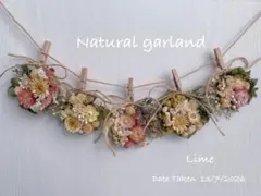 ドライフラワーガーランド スワッグ ④薄ピンク系のサムネイル