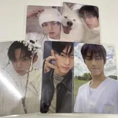 TWS DOHOON ドフン トレカ 5枚セット