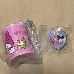 サンリオキャラクターズ　コインシリンダーケース　ご当地ピンバッチ　セット