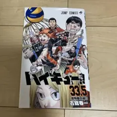 ハイキュー!! 33.5 音駒番外編