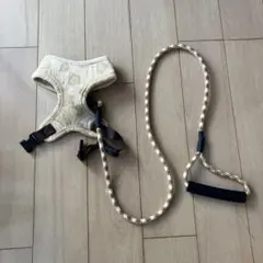 Item thumbnail for item df070663-1117-43ba-b548-b335dc79e8a7