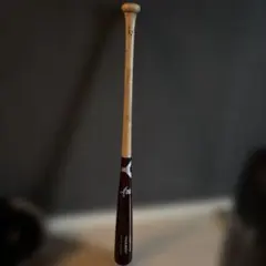 Item thumbnail for item dbe87ec3-be7c-4966-8fe9-c6e5f1e6a549