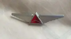 デルタ航空 キャプテンバッジ ゴールド エアライン 飛行機 航空グッズ