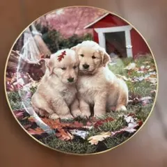 FRANKLIN MINT × ROYALDOULTON　のお皿のサムネイル