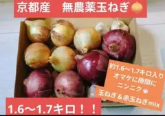 無農薬栽培！新玉ねぎセット！！のサムネイル