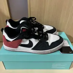 NIKE SB ALLEYOOP 25cm 最終価格