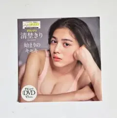 週刊プレイボーイ 11号 DVD 清埜きり 付録 - メルカリ