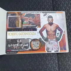 RIZIN ジャンボシールダス