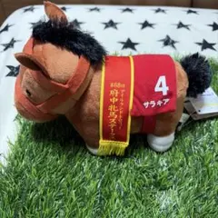 サラブレッドコレクション　サラキア