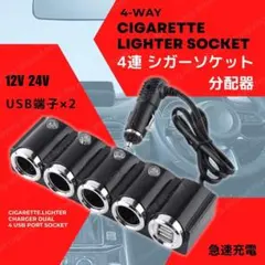 Item thumbnail for item 12487345-c922-48be-9251-c72e1a7b1a4f