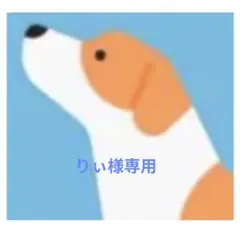 りぃ様　対応商品