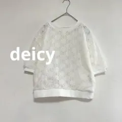 デイシー　DEICY 総レースカットソー　花柄　シアー　Fのサムネイル