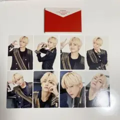 SYS テテ トレカ コンプリート LYS ミニフォトカード BTS テヒョン