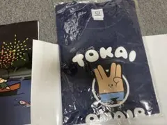 Item thumbnail for item 9b9d5f29-6572-4d2e-9c71-f6d3ac18137e