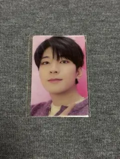 SEVENTEEN DREAM ウォヌ トレカ