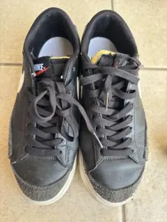 Item thumbnail for item 3d879cbe-f9d3-4889-bf94-1078f3f630d8