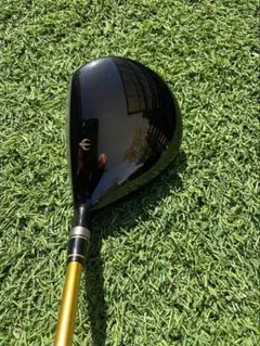 Item thumbnail for item bce40e3b-9e6d-4cd1-b39c-b6de9fc3d92d