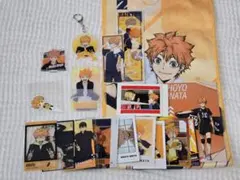 ハイキュー　日向翔陽