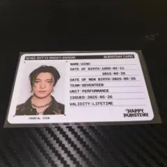 SEVENTEEN ディノ IDカード セブチ BURSTDAY