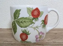 ★廃盤★ ウエッジウッド プティ　ワイルドストロベリー　約15センチ　2枚 ☆廃盤☆ ウエッジウッド プティ ワイルドストロベリー 約15センチ 2枚