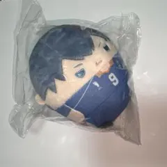 ハイキュー ぬいくじ くじメイト 影山飛雄 D賞　ふわコロりん