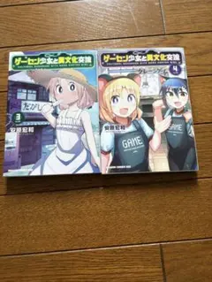 ゲーセン少女と異文化交流 3〜4巻セット