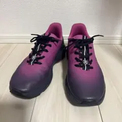 Item thumbnail for item ccd24b84-b65b-4471-941b-7889735189f6