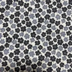 Item thumbnail for item 3f6b07b1-78b9-43fa-b610-4713ff63d8b4