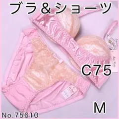ブラジャーショーツセットC75 No.75610