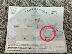 うちの子のけだまだま 犬 限定アソート黒柴