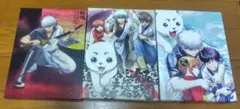 劇場版銀魂「新訳紅桜篇」「完結篇」「FINAL」完全生産限定版DVDセット